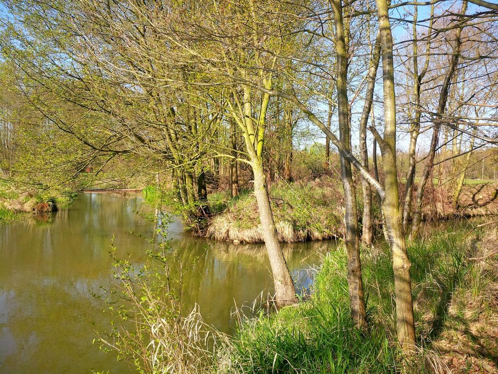 Ferienhof Idyll Am Kleinen Fliess Burg  Exteriér fotografie